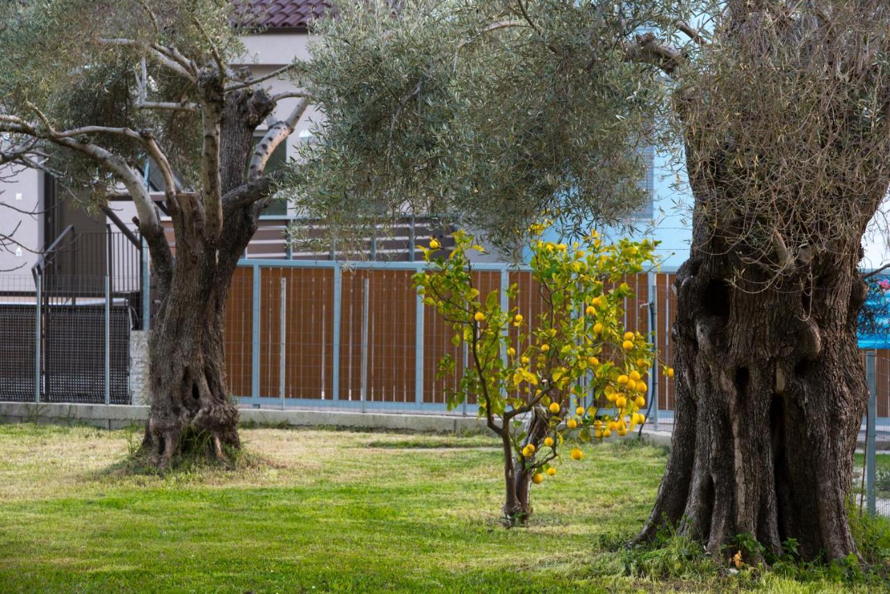 Kostas Studios Nydri  Exterior photo